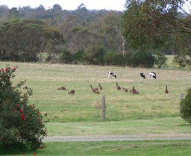 Chalets Albany WA Sunshine Coast Tourism