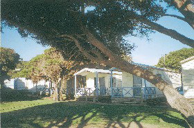 Yallingup Beach Holiday Park - Sunshine Coast Tourism 1