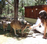 Yelverton Brook Eco Spa Retreat and Conservation Sanctuary - Sunshine Coast Tourism