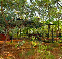 Arnhemland Barramundi Nature Lodge - Holiday Sunshine Coast