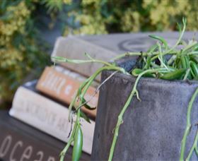 Bannisters Pavilion - Sunshine Coast Tourism 4