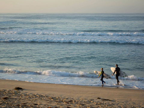 Wairo Beach Holiday Park - Holiday Sunshine Coast 1