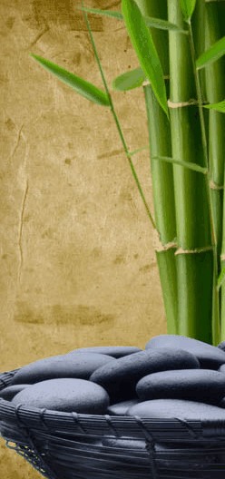 Je Suis Femme - Holiday Sunshine Coast 3