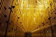 State Theatre Centre - Holiday Sunshine Coast 0