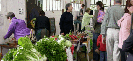 Perth City Farm Organic Markets - Sunshine Coast Tourism 2