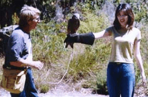 Eagles Heritage Raptor Wildlife Centre - Sunshine Coast Tourism 2