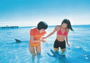  Sunshine Coast Tourism