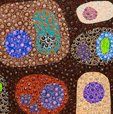 Turner Galleries - Holiday Sunshine Coast