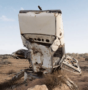 Anthony Riding Gallery - Sunshine Coast Tourism