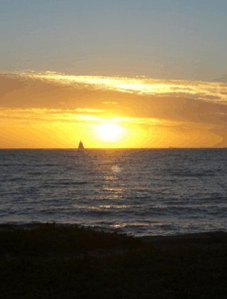 Kidogo Arthouse - Holiday Sunshine Coast 1