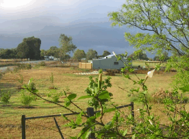 The House Of Honey - Holiday Sunshine Coast 2