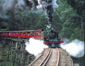 Puffing Billy - Sunshine Coast Tourism 1