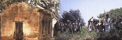 St Helena Island - Holiday Sunshine Coast 1