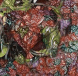 Jan Murphy Gallery - Sunshine Coast Tourism 3