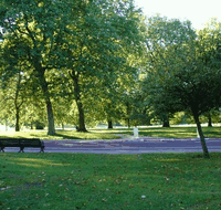 Roma Street Parkland - Sunshine Coast Tourism