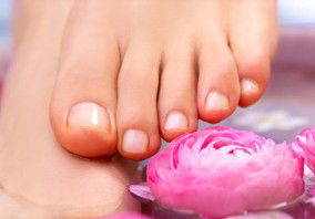 Indulge Spa Retreat - Sunshine Coast Tourism 3