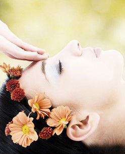 Retreat In The Suburbs - Sunshine Coast Tourism 2