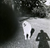 Fehily Contemporary - Holiday Sunshine Coast 2