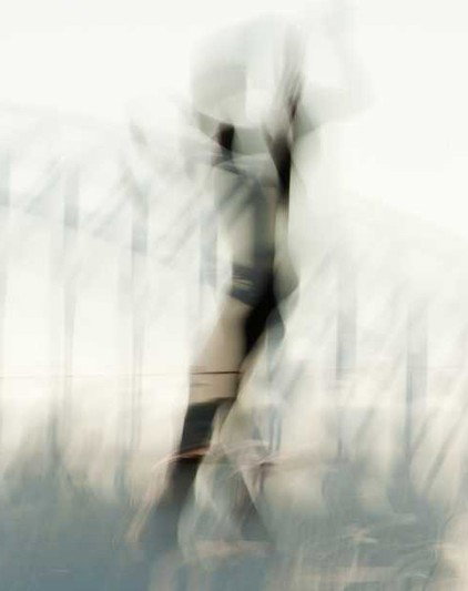 Eleven40 Gallery - Sunshine Coast Tourism 2