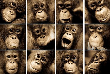 Eleven40 Gallery - Sunshine Coast Tourism 3