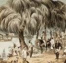 Joshua McClelland Print Room - Holiday Sunshine Coast