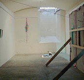 Bus Projects - Holiday Sunshine Coast