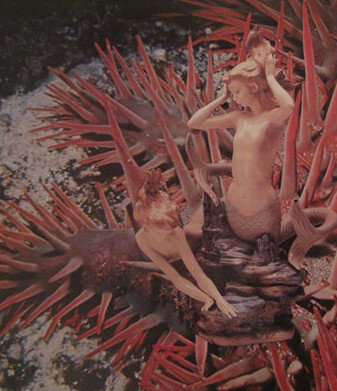 Bower Gallery - Sunshine Coast Tourism 1