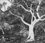 Tacit Contemporary Art - Holiday Sunshine Coast