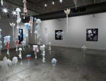 Nellie Castan Gallery - Sunshine Coast Tourism 0
