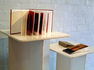 Synergy Gallery - Sunshine Coast Tourism 1