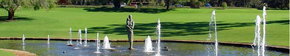 Kings Park Botanic Gardens - Sunshine Coast Tourism 3