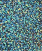 Block Projects - Holiday Sunshine Coast 2