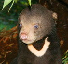 Perth Zoo - Holiday Sunshine Coast 0