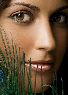 Self Centered Day Spa - Holiday Sunshine Coast 2