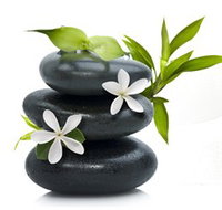 Tea House Spa Sauna - Sunshine Coast Tourism