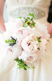 Karralyka Centre - Sunshine Coast Tourism 3