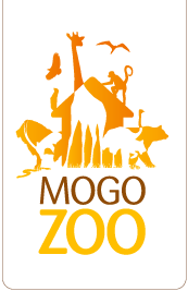 Mogo Zoo - Holiday Sunshine Coast 0
