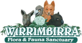Wirrimbirra Sanctuary - Holiday Sunshine Coast 0