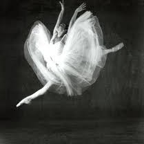 Glen Street Theatre - Sunshine Coast Tourism 3