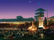 Starlight Cinema - Holiday Sunshine Coast 1
