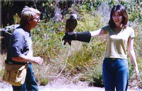 Eagles Heritage - Sunshine Coast Tourism 2