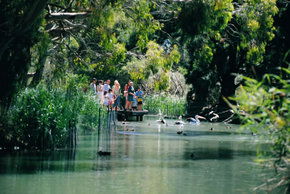 Cleland Wildlife Park - Holiday Sunshine Coast 1