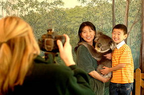 Cleland Wildlife Park - Holiday Sunshine Coast 2
