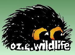 OZe Wildlife - Sunshine Coast Tourism 0