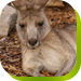  Sunshine Coast Tourism