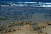 Canberra Contemporary Art Space - Sunshine Coast Tourism 0