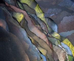 ArtSpace Mackay - Sunshine Coast Tourism 1