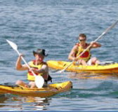 Manly Kayaks - Holiday Sunshine Coast