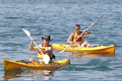 Manly Kayaks - Sunshine Coast Tourism 0