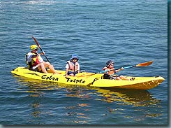 Manly Kayaks - Sunshine Coast Tourism 3